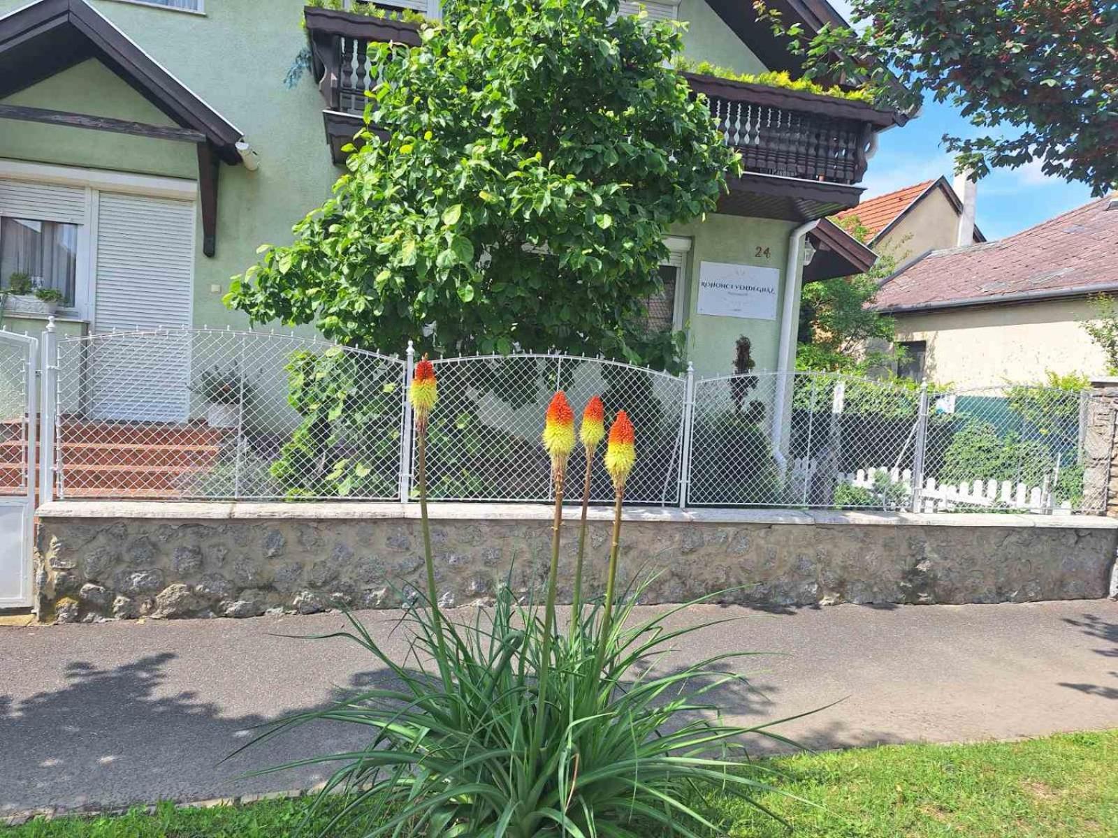 فندق Rohonci Vendeghaz Kőszeg المظهر الخارجي الصورة